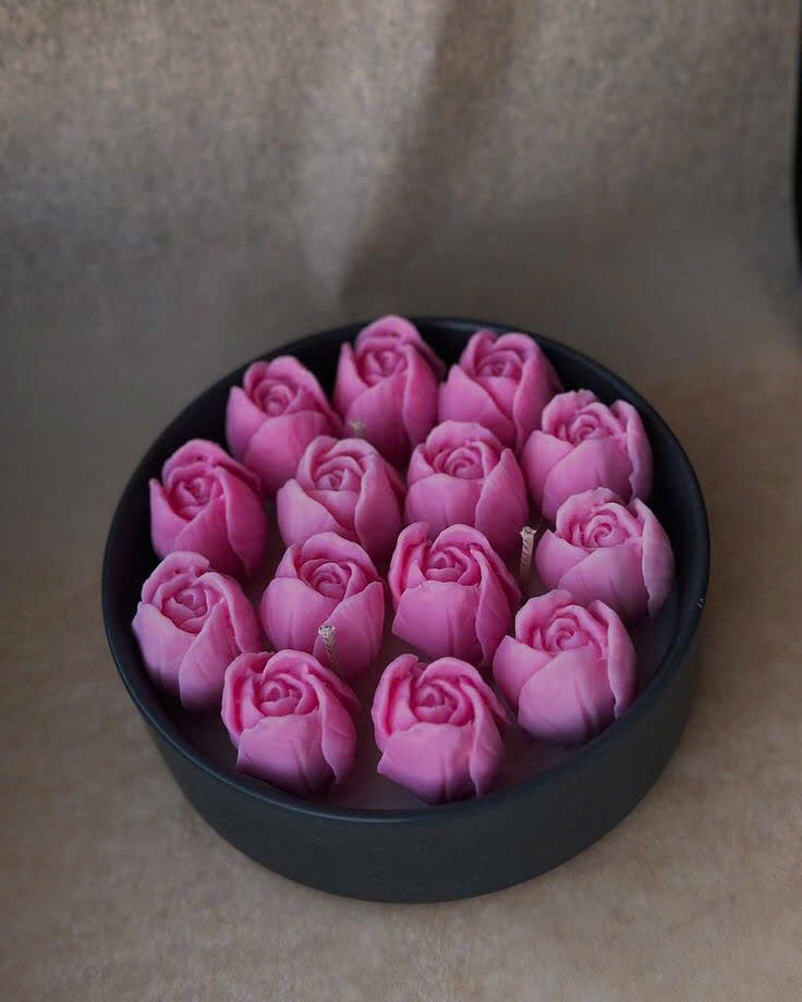 Ngát Hương Tulip